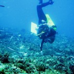 1. Benthic survey