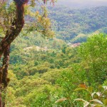 12. Ranomafana National Park