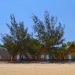 14. Beach bungalows for staff, tourists, guests and volunteer upgrades