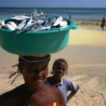14. Fish seller