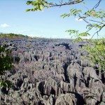 16. Ankarana National Park