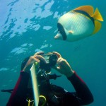 18. Species identification dive