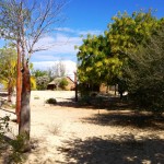 2. ReefDoctor grounds