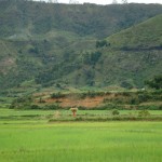 3. Central Madagascar