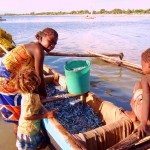 9. Family inspecting their catch