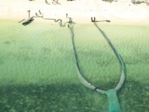 IMG_0701