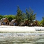 Reef-Doctor-Site