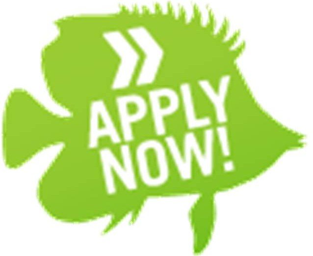 apply now
