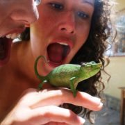 Volunteers with a chameleon