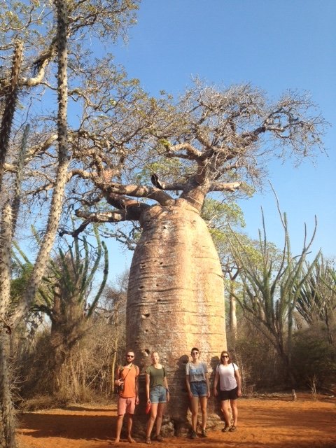 baobab interns