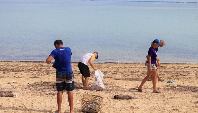 beach clean