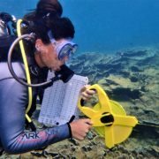 Reef transect