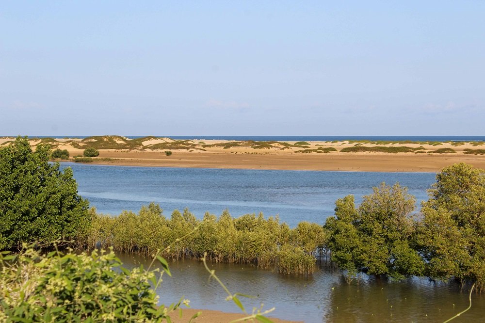 Songeritelo dunes