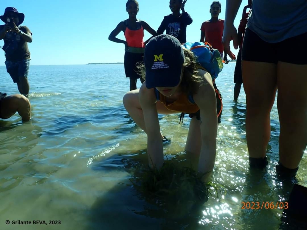 A photo of conservationists transplanting seagrass in Madagascar.