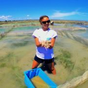 Aquaculture intern