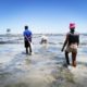 Sea cucumber aquaculture site