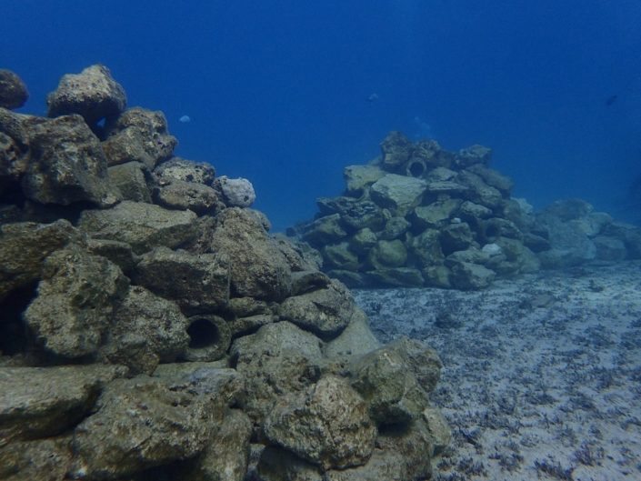 Artificial Reefs Reef Doctor Marine Conservation