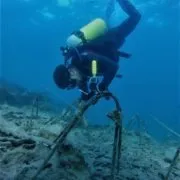 reef restoration