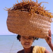 seaweed farmer