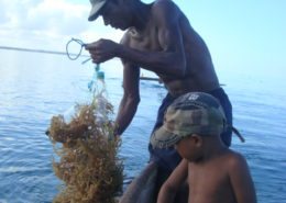 seaweed farmer and his son