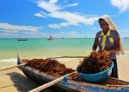 seaweed lady on beach