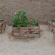 veg garden boxes