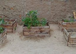 veg garden boxes