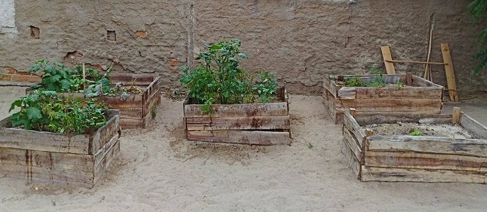 veg garden boxes