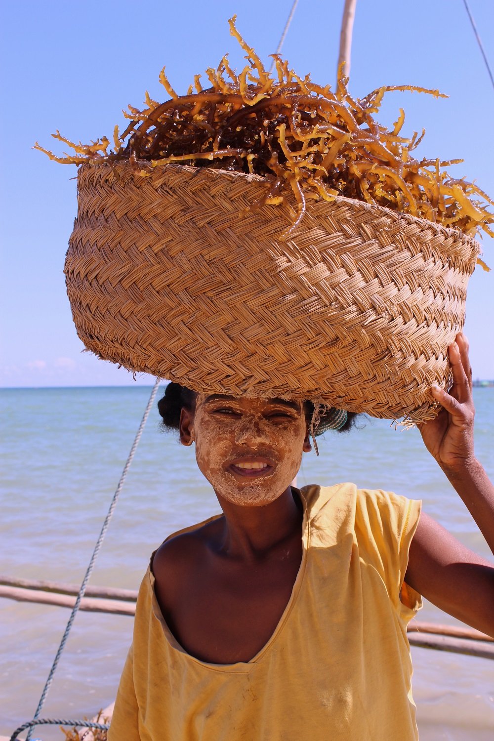 women seaweed harvesting